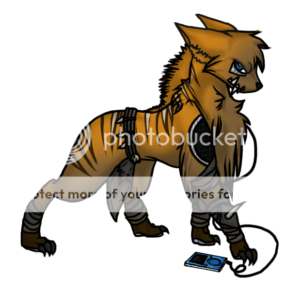 User Image